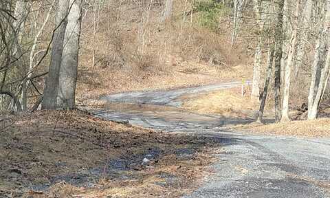 Mountain Laurel, MOUNT JACKSON, VA 22842