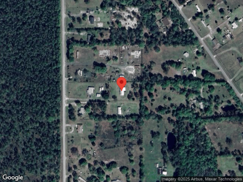 Mallard, MIDDLEBURG, FL 32068