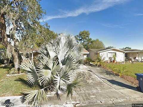 Betula, NEW PORT RICHEY, FL 34653