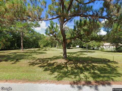 Tallowtree, WESLEY CHAPEL, FL 33544