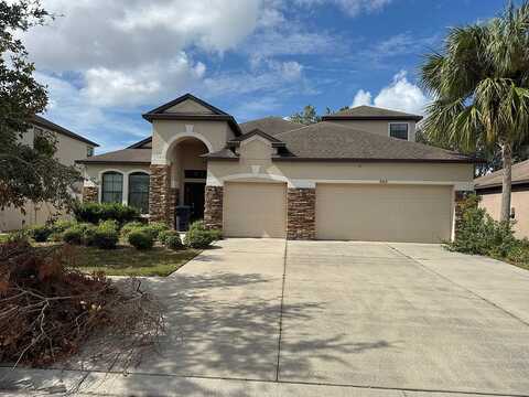 White Poplar, RIVERVIEW, FL 33578