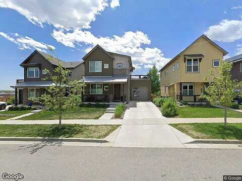 Zamia, BOULDER, CO 80304