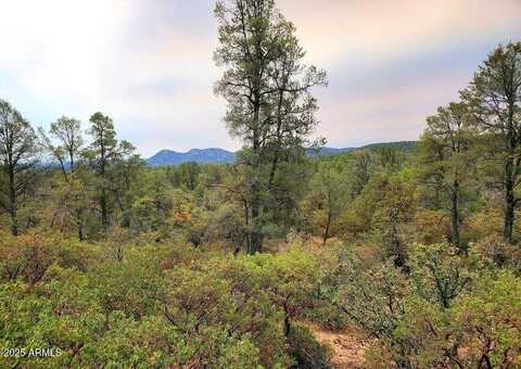 1403 E UNDERWOOD Lane, Payson, AZ 85541