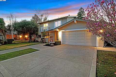 1882 Halcyon Ct., Pleasanton, CA 94566