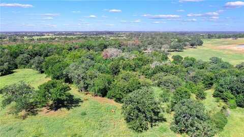 Tbd CR 227 County Road, Caldwell, TX 77836