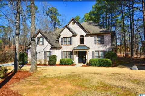 100 GRANDE VISTA WAY, CHELSEA, AL 35043