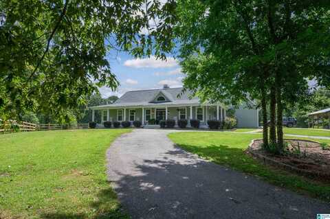 10770 HIGHWAY 55, CHELSEA, AL 35043