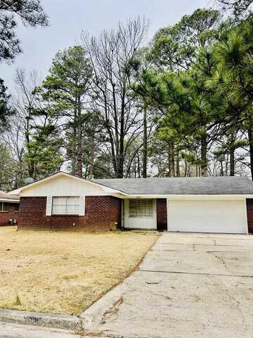 3608 S Holly Street, Pine Bluff, AR 71603