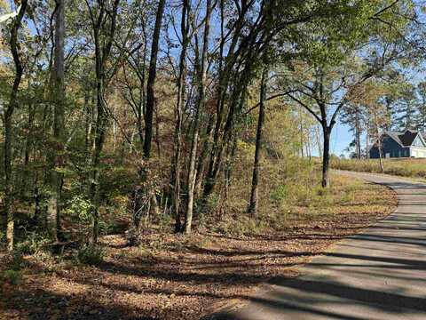 3.6 Acres MCGEE ROAD, Benton, AR 72019