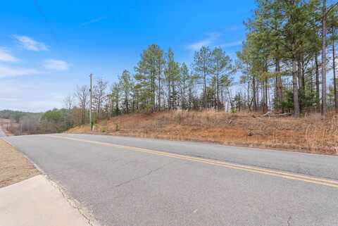 00 Panther Run Trail, Greenbrier, AR 72058