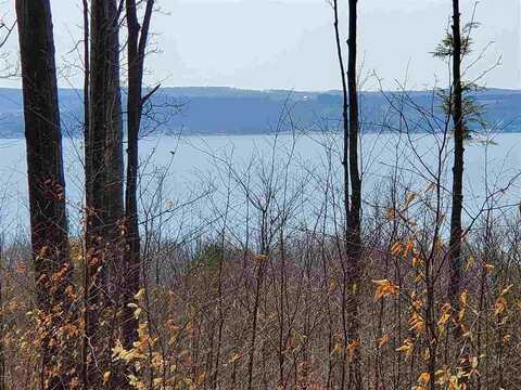 LOT 4 RUBY LANE, BOYNE CITY, MI 49712