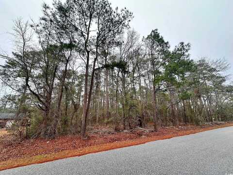 5370 Crutchlow Ct., Nichols, SC 29581