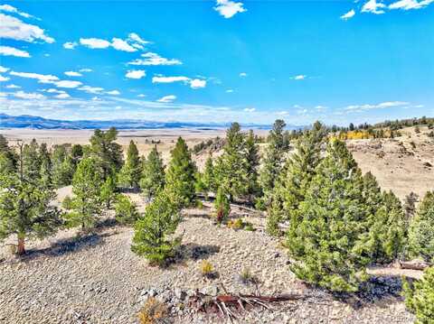 3433 Dog Chief Trail, Hartsel, CO 80449