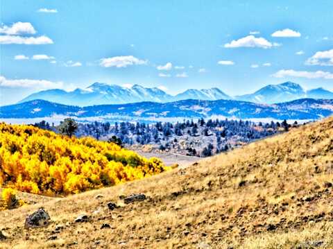 3431 Dog Chief Trail, Hartsel, CO 80449