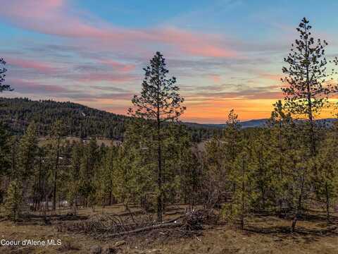 Nka S Carpenter Loop, Post Falls, ID 83854