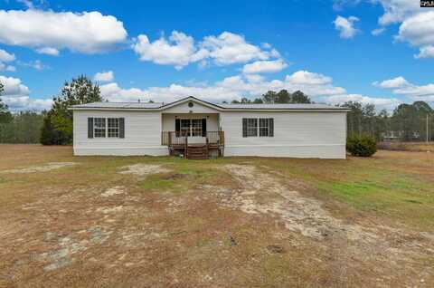 170 Elaine Court, Gilbert, SC 29054