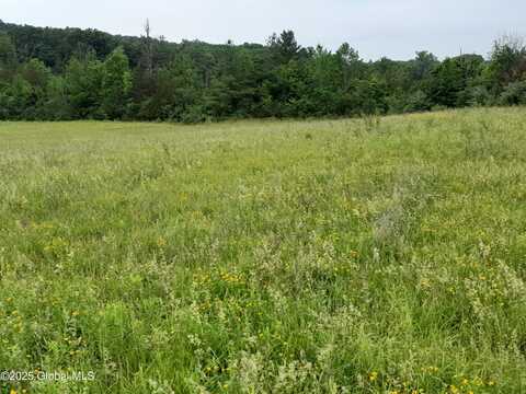 L45 Roberts Hill Rd, Coxsackie, NY 12192