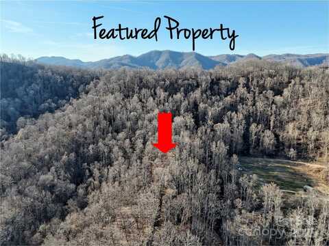 672 Porters Ridge, Canton, NC 28716