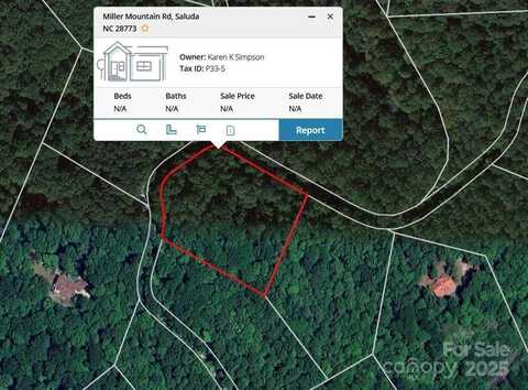 0000 TBD Miller Mountain Road, Saluda, NC 28773
