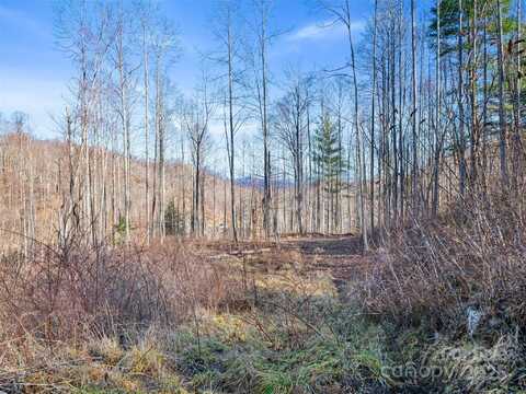 Prices Creek Road, Burnsville, NC 28714