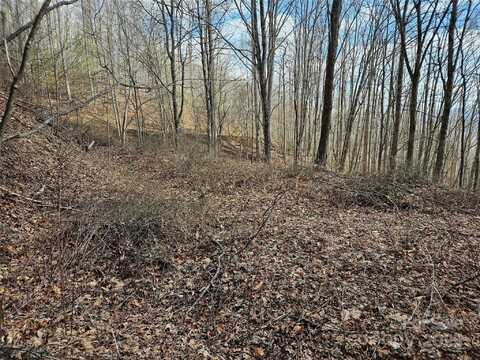 Wolverine Court unit: 45, Waynesville, NC 28785
