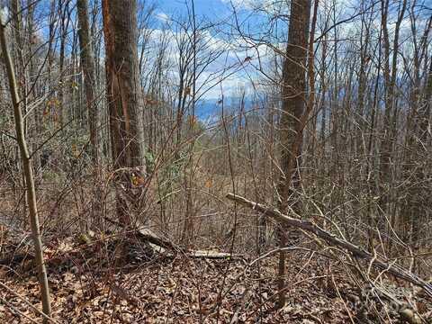 00 Wolverine Court, Waynesville, NC 28785