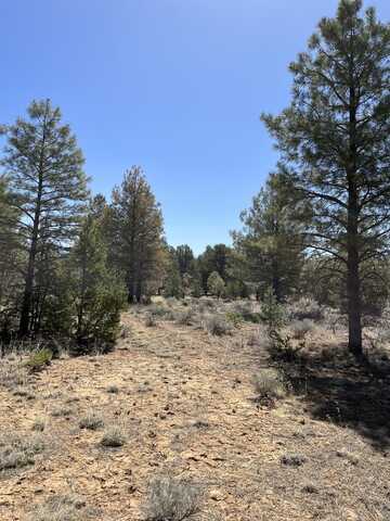 Lot 239 Ranch Drive, Ramah, NM 87321