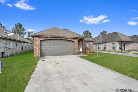 25409 Black Lake Ave, Livingston, LA 70754