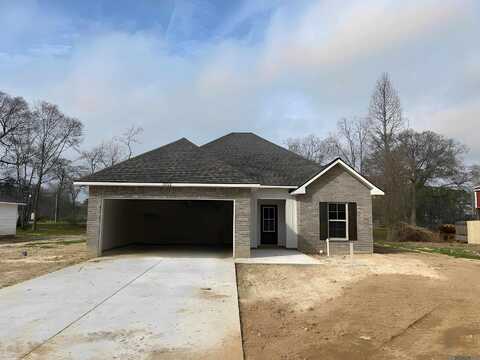 10928 S Lakeside Dr, Denham Springs, LA 70726