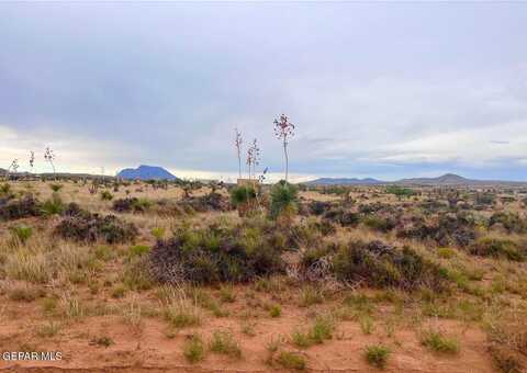 Tbd TBD, Sierra Blanca, TX 79851