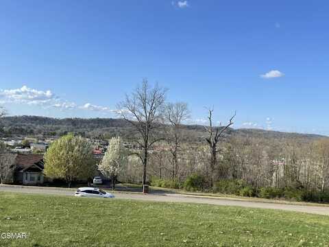 Lot 13 Chapman View Drive, Seymour, TN 37865