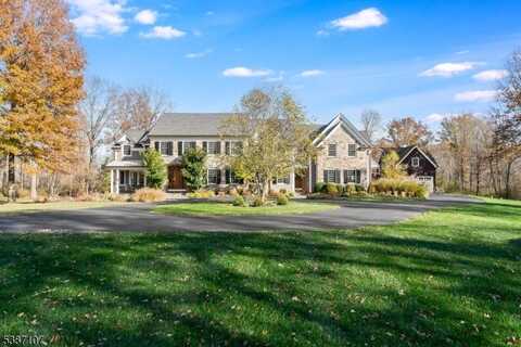 6 Prudence Ln, Mendham, NJ 07945