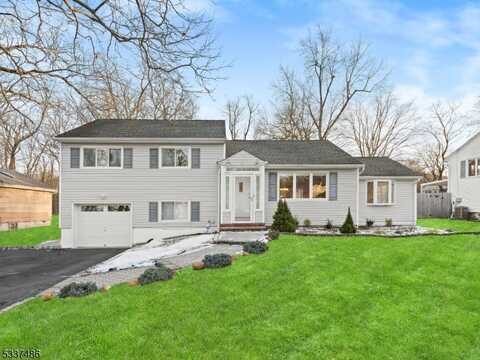 41 Bryant Dr, Livingston, NJ 07039