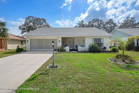 6230 Ocean Pines Lane, Spring Hill, FL 34606