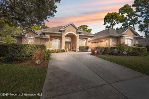 5351 Championship Cup Lane, Spring Hill, FL 34609