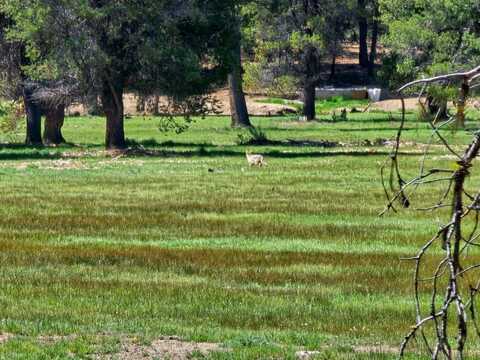 Williamson River Rd Road, Chiloquin, OR 97624