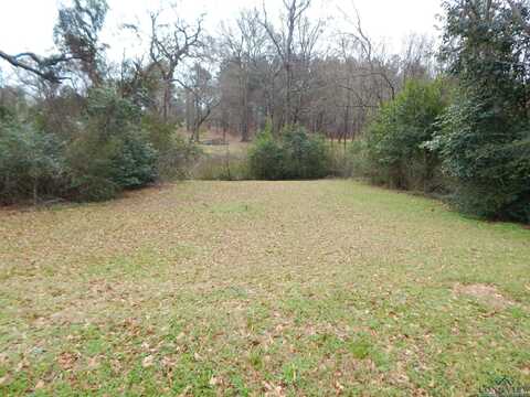 Tbd .3461 ACRES CLARK ST., Gilmer, TX 75644