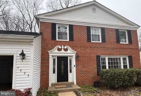 7203 MING TREE CT, SPRINGFIELD, VA 22152