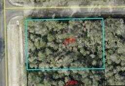 6665 WALNUT AVENUE, BUNNELL, FL 32110