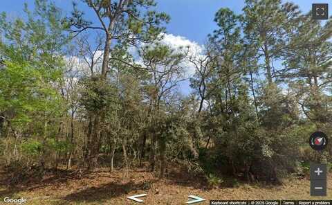 00 RIM ROCK, WEBSTER, FL 33597