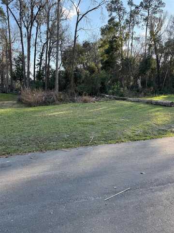 SE 119TH STREET, BELLEVIEW, FL 34420