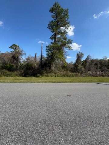 20981 FORT CHRISTMAS ROAD, CHRISTMAS, FL 32709