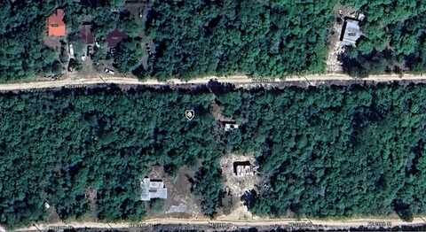 NE 239TH PLACE, FORT MC COY, FL 32134