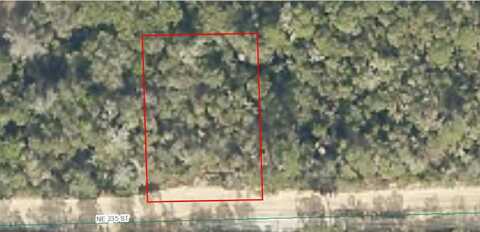 NE 235TH STREET, FORT MC COY, FL 32134