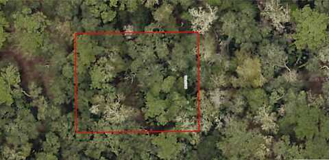 NE 135TH TERRACE, FORT MC COY, FL 32134