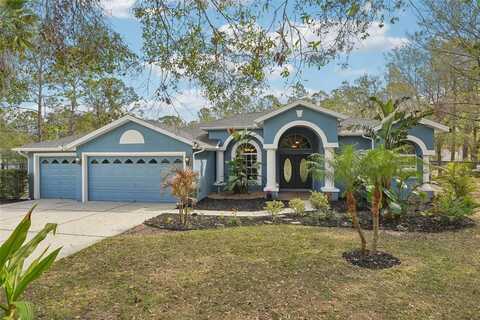 7546 RICHLAND STREET, WESLEY CHAPEL, FL 33544