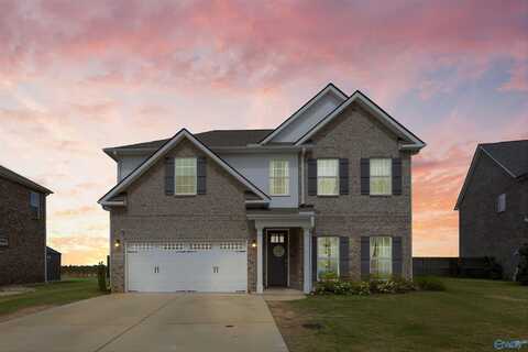 24454 Beacon Circle, Athens, AL 35613
