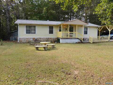 380 Road 9036, Fyffe, AL 35971