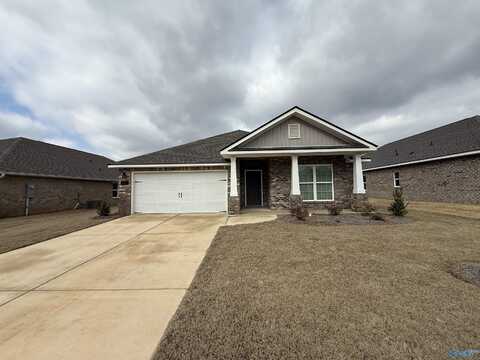 141 Hazel Pine Trail, Hazel Green, AL 35750