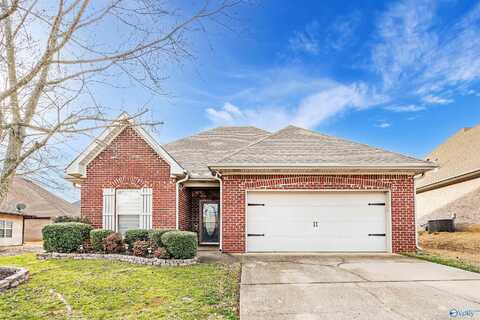 14335 Crooked Stick Place, Athens, AL 35613
